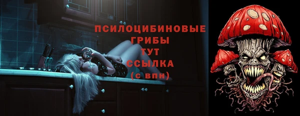 ГАЛЛЮЦИНОГЕННЫЕ ГРИБЫ Балахна