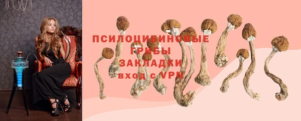 ГАЛЛЮЦИНОГЕННЫЕ ГРИБЫ Балахна